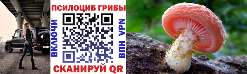 Псилоцибиновые грибы Magic Shrooms  Купить где  Белоусово 